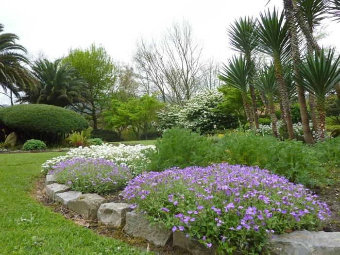 kaunista puutarha aubrieta deltoidea kauniita puutarhaideoita
