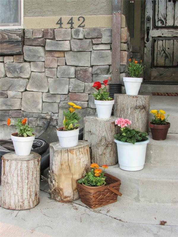 kaunistaa puutarhan sisäänkäyntiportaiden koristekasveja