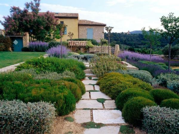 puutarhanhoito Välimeren kasvit paasi laventeli yrtit