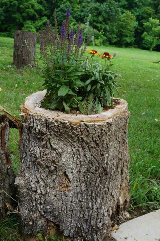 Tinker puutarhan koristelu luonnonmateriaalit muuntaa kanto istutuskoneeksi