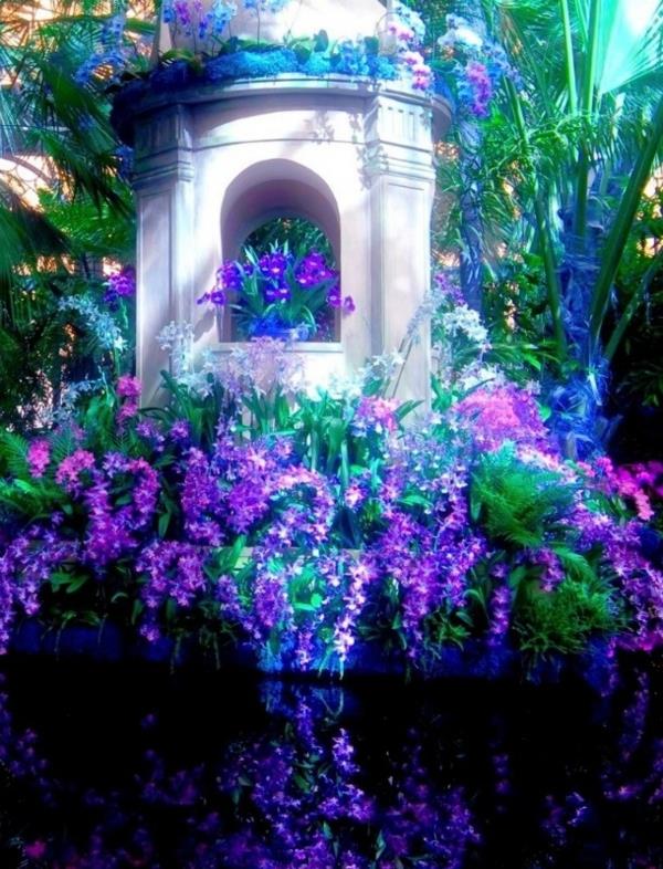 puutarhan suunnittelu violetit kasvit veden päällä