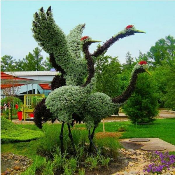 puutarhaveistokset puutarhataide emus montreal