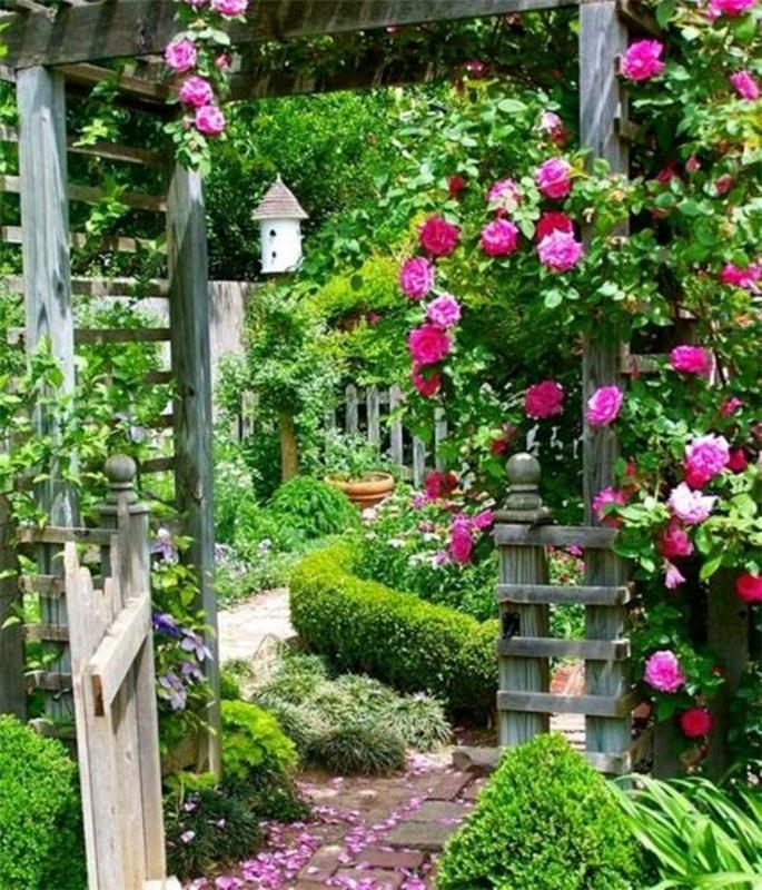 puutarhan suunnitteluideoita ruusukasveja