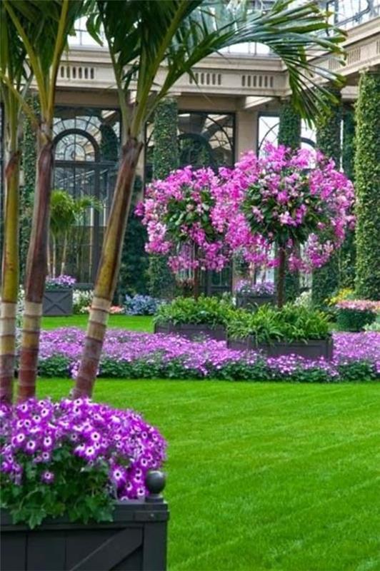puutarhan suunnittelu kuvat kaunis istutus violetti