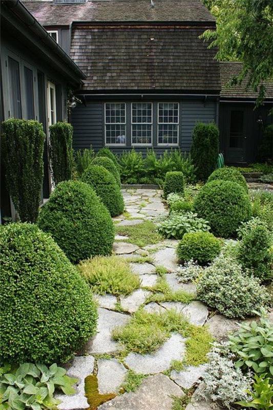 puutarha suunnittelu kuvat kivi jalkakäytävä ruoho kasvit talo
