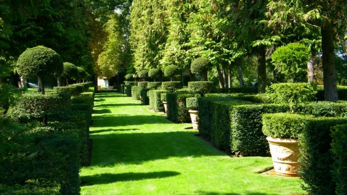 puutarha suunnittelu ranskalainen portti ideoita vihreä ruoho boxwood