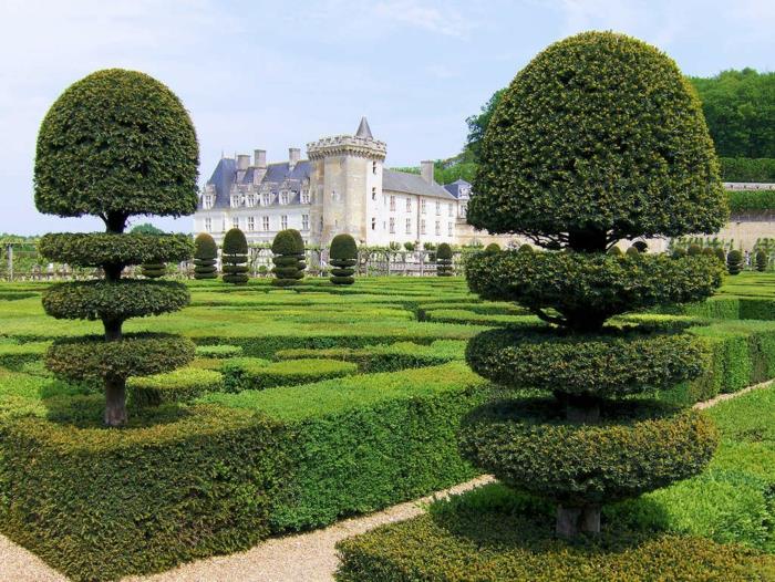 puutarhasuunnittelu ranskalainen puutarha havupuutarhaideoita