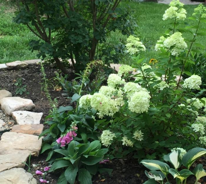 puutarhasuunnittelu valitse puutarhakasvit järjestä kivet kukkapenkit