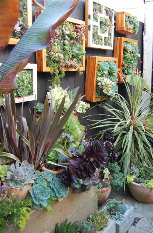 puutarhan suunnittelu puulaatikot diy koristeluideoita seinäkoristeita meheviä kaktuksia