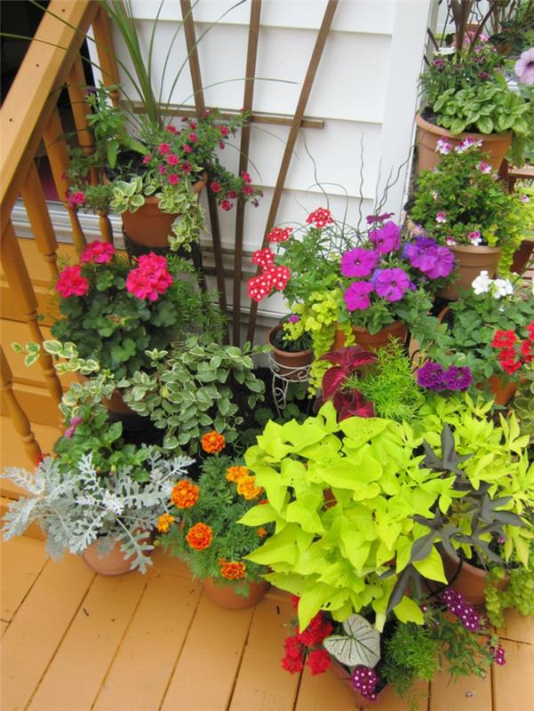 puutarhan suunnitteluideoita kukkaruukkuja värillisiä koristeideoita
