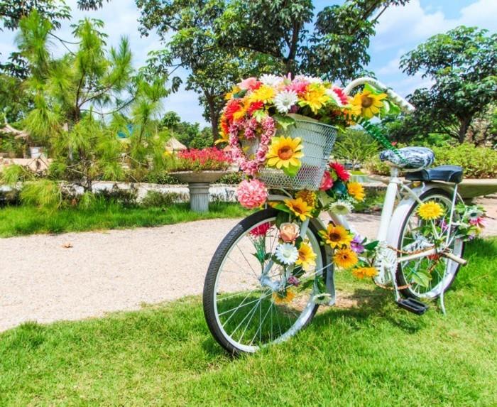 Puutarhasuunnitteluideat koristavat pyörän kukilla ja käyttävät sitä kasvisäiliönä