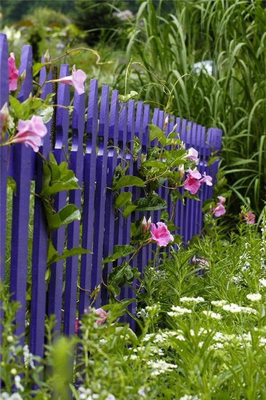 Puutarhasuunnitteluideoita violetti puutarha -aita kukkia koristeluideoita