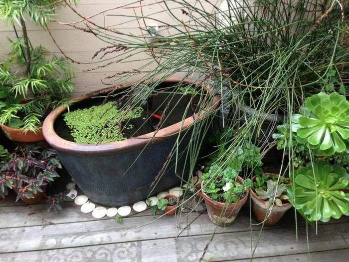 puutarhan suunnittelu tilaa säästävä mini puutarhalampi