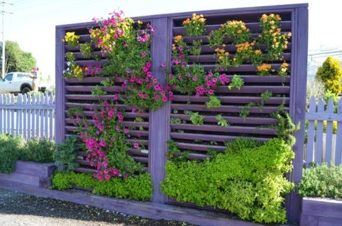 puutarhan suunnittelu käytännössä kukkii violetit levyt kasvit maaperä