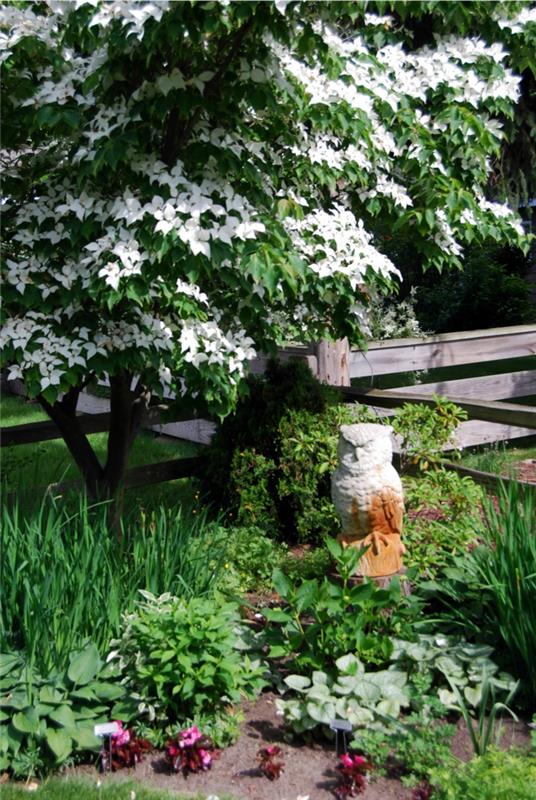 maisemointi rentoutua puutarhakasvit gartendeko