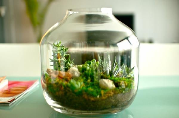 suunnittelija idea puutarhasuunnittelu terraario bonsai puu alkuperäinen