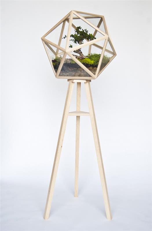 suunnittelija idea puutarhasuunnittelu terraario bonsai puu alkuperäinen vanha
