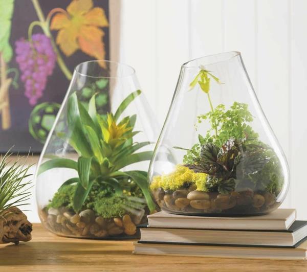 suunnittelija idea puutarhasuunnittelu terraario bonsai puu alkuperäinen kivikasvi