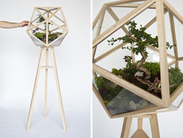 suunnittelija idea puutarhasuunnittelu terrarium bonsai tree