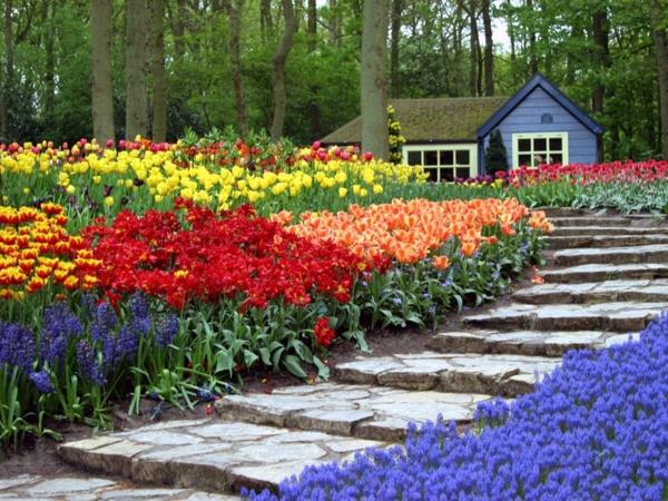 puutarhan suunnitteluvinkit suosikki kukat puutarha tulppaanit värillinen värikäs