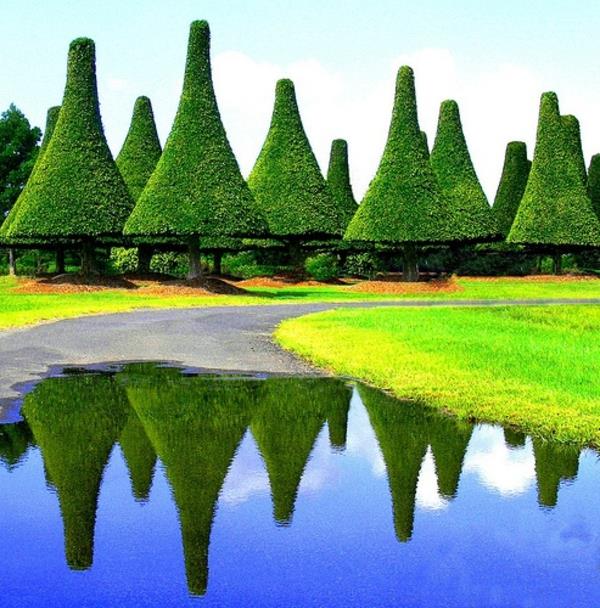 puutarhan suunnittelu topiary lampi ikivihreä