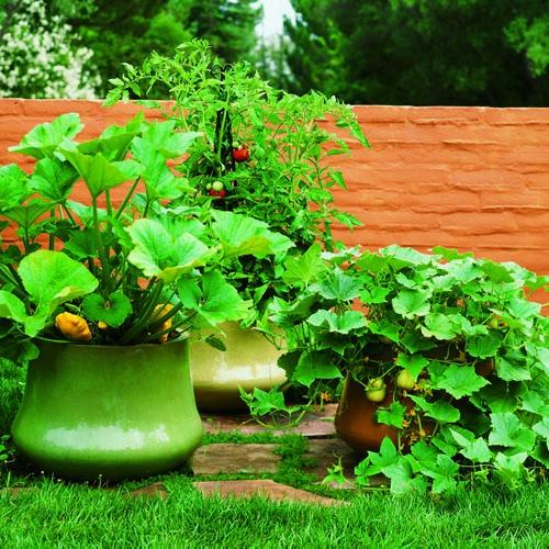 puutarhan suunnittelun temppuja ja vinkkejä kukkaruukkujen istuttamiseen