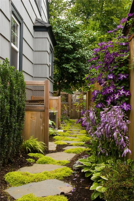 puutarhasuunnitteluideoita puutarhapolku jalkakäytävä laatat kasvit kiipeilykasveja