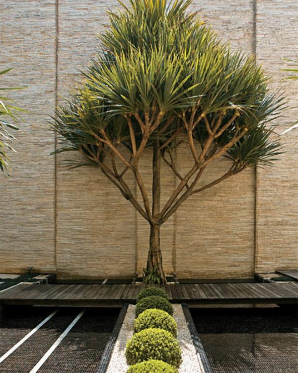 puutarhan suunnitteluideoita kestävä rakennus bambu puun näkyvyys ja aurinkosuoja