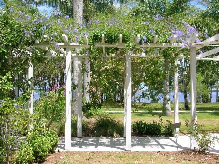 puutarhaideoita pergola -katoksia puutarhakasveja