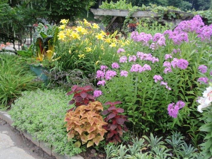 Puutarhasuunnittelu Puutarhakasvit Cascading Garden Ideoita