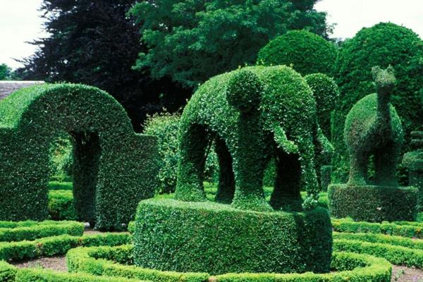 puutarhaveistokset norsu englantilainen puutarha