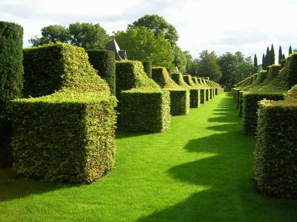 puutarhaveistokset geometriset muodot englanti puutarha