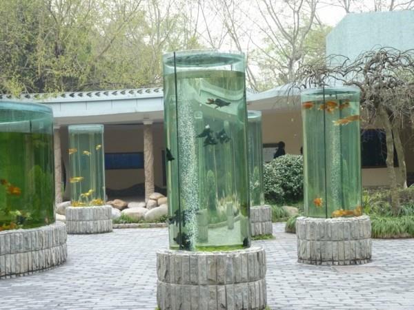 aquaponics -puutarhan trendi
