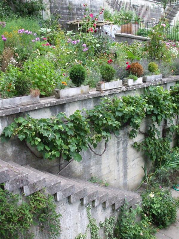 moderni puutarhasuunnittelu puutarhaportaat portaiden ulkopuolella yrttejä umpeenkasvanut