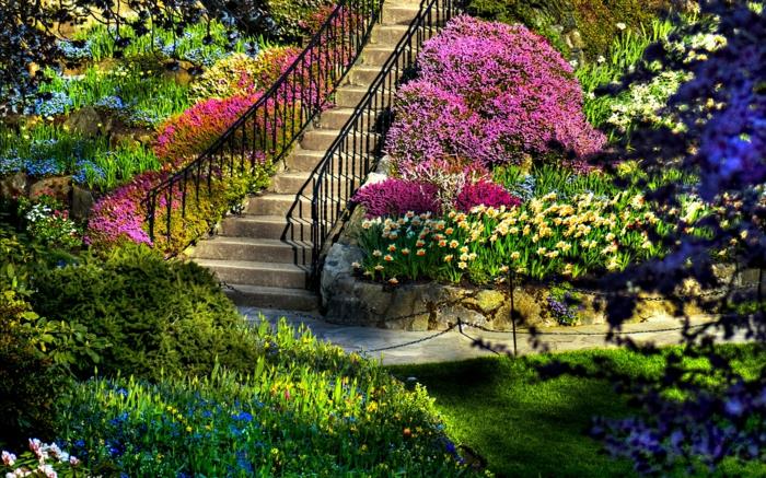 moderni puutarhasuunnittelu puutarhaportaat portaiden ulkopuolella yrtit ihana