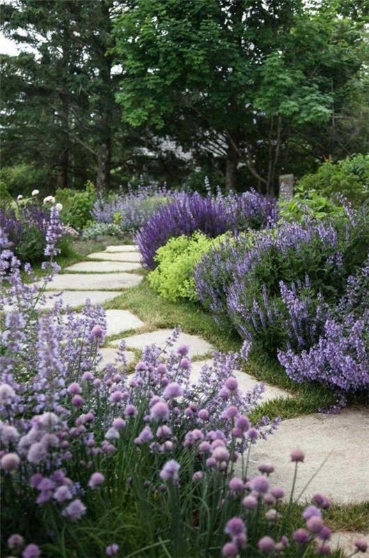 Puutarhaideoita luonnonkivi laventeli