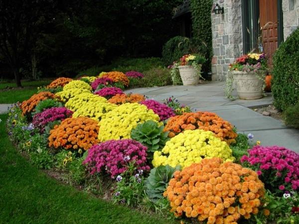 puutarhapolku ideoita tyylikäs muotoilu värillisiä kukkia