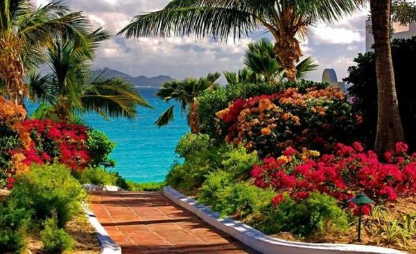 puutarha merinäköalalla kesämökki