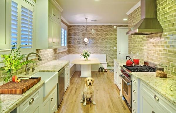 keltainen labradori moderneissa keittiökoirissa kotona lattiapuuta