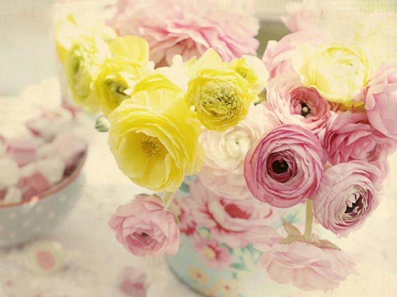 keltainen vaaleanpunainen ranunculus kevään kukat maljakko nuhjuinen tyylikäs tyyli