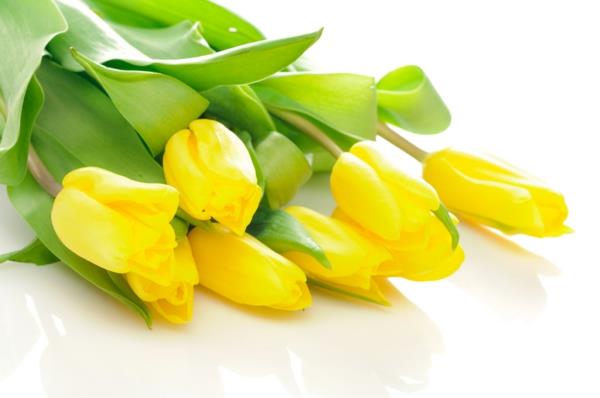 keltaiset tulppaanit kukkakimppu lahjaideoita sisustusideoita