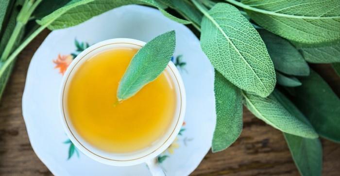 terveellistä elämää salvia teetä aromaterapiaa