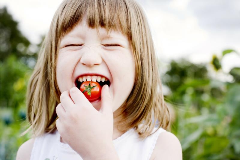 terveellistä ruokaa lapsille Chrerry -tomaatteja omasta puutarhasta