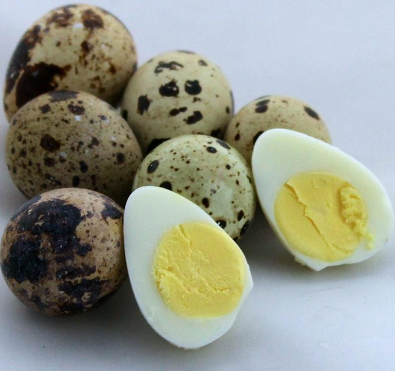 terveellistä ruokaa lapsille keitettyjä viiriäisen munia