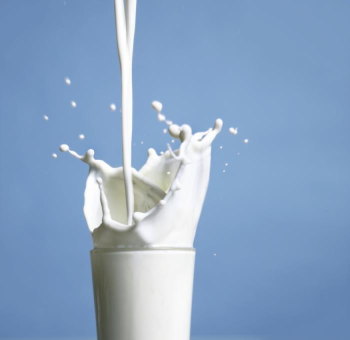 terveellinen syöminen Ayurveda ravitsemusperiaatteet pitta ihmiset maitotuotteet