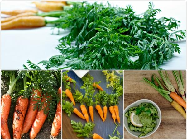 terveellisten ruokien reseptejä kypsennä porkkanoita lehdillä