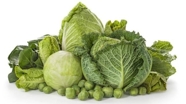 terve elämä antibiootti yrtti terve