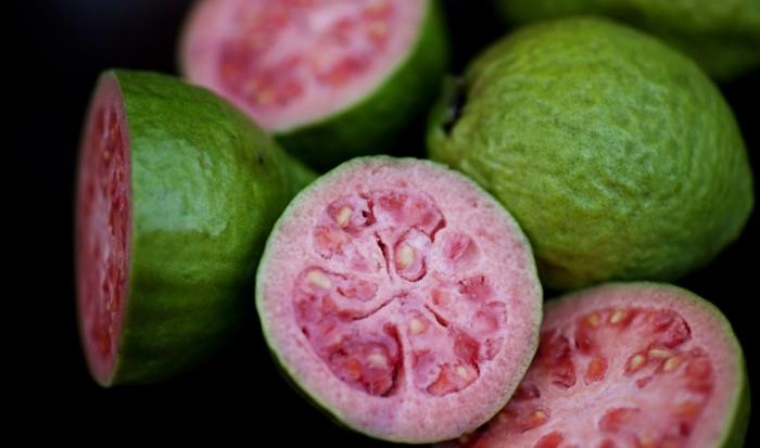 terveet hedelmät elävät terveessä guavassa, tärkeintä on terveet lehdet