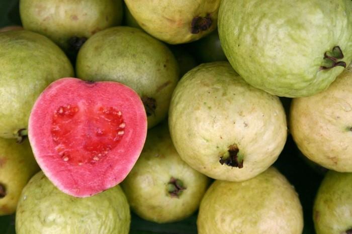 terveet hedelmät elävät terveet guava tärkein terve taustakuva