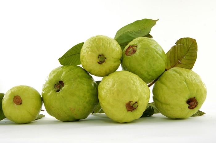terve hedelmä elää terve guava tärkein terve taustakuva2